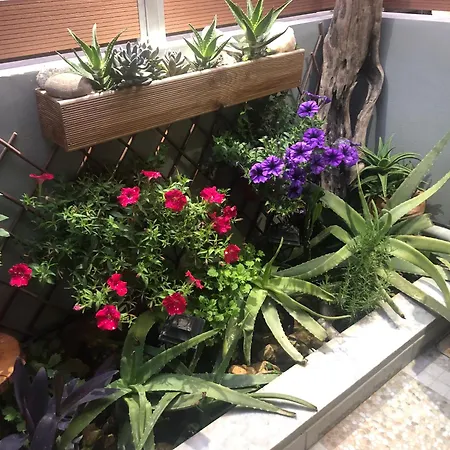 Summer Mood Appartement