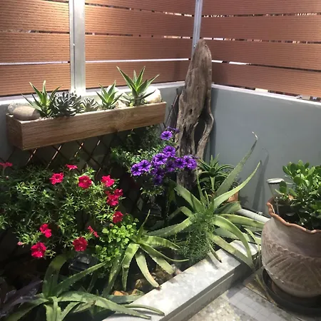 Summer Mood * Chania (Crete)