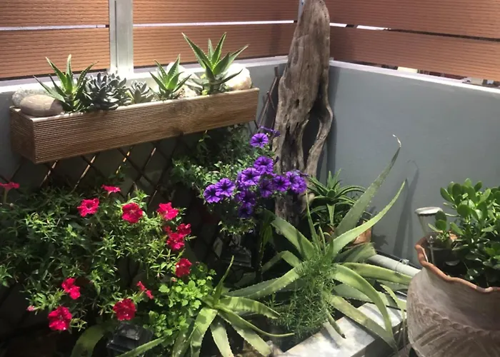 Summer Mood * Chania (Crete)